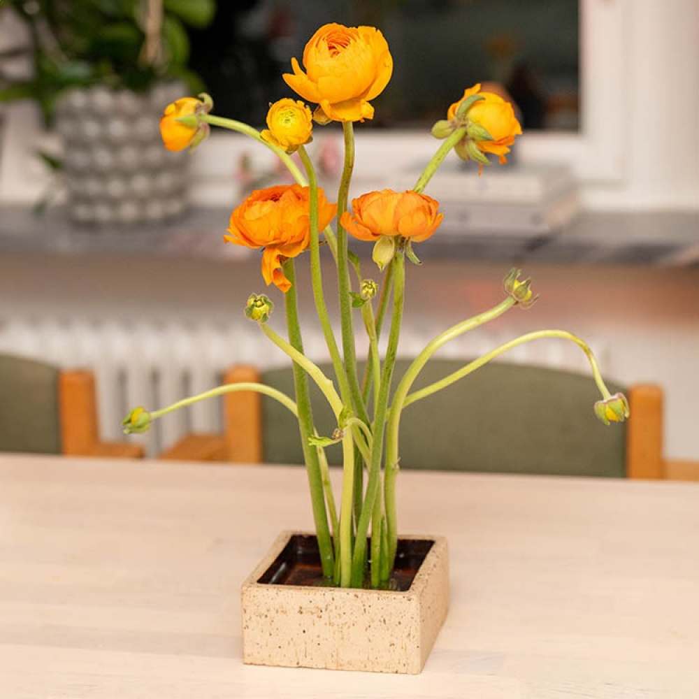 Blomsterfakir i gruppen Hjem / Indretning hos SmartaSaker.se (13574)