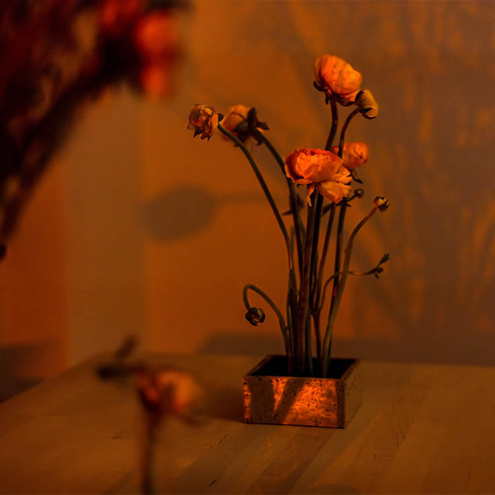 Blomsterfakir i gruppen Hjem / Indretning hos SmartaSaker.se (13574)