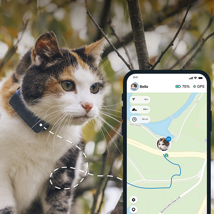 Lure bue Dekoration GPS kat - GPS-tracker til din kat | SmartaSaker