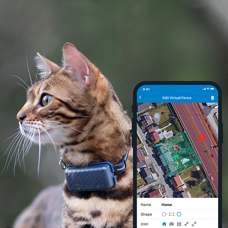 GPS kat - GPS-tracker til kat | SmartaSaker