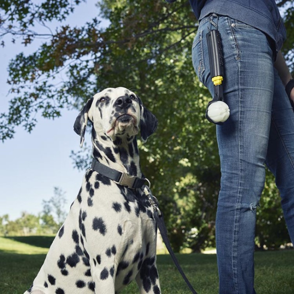 Sammenklappelig boldkaster med LED bold i gruppen Fritid / Kæledyr / Hundeudstyr hos SmartaSaker.se (13682)