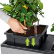 Selvvandende plantekasse