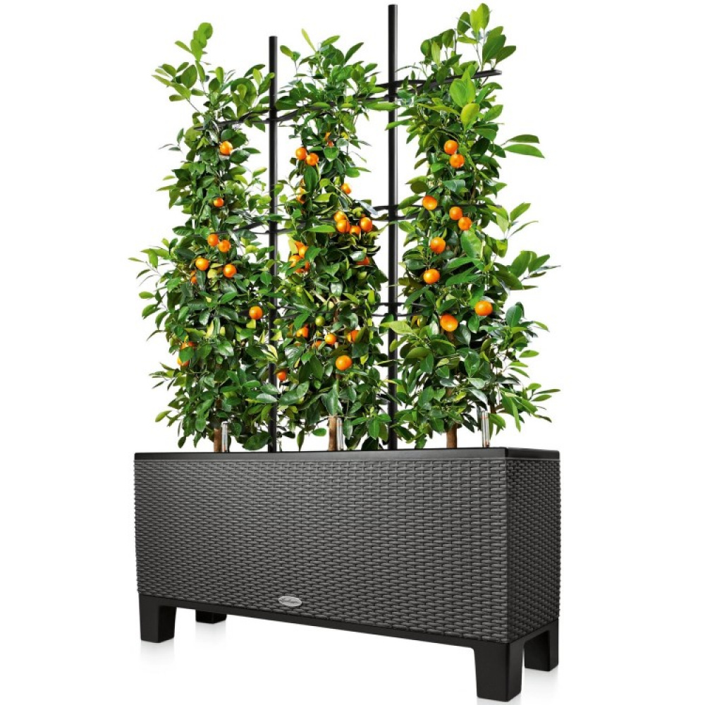 Espalier til plantekasse i gruppen hos SmartaSaker.se (13741)