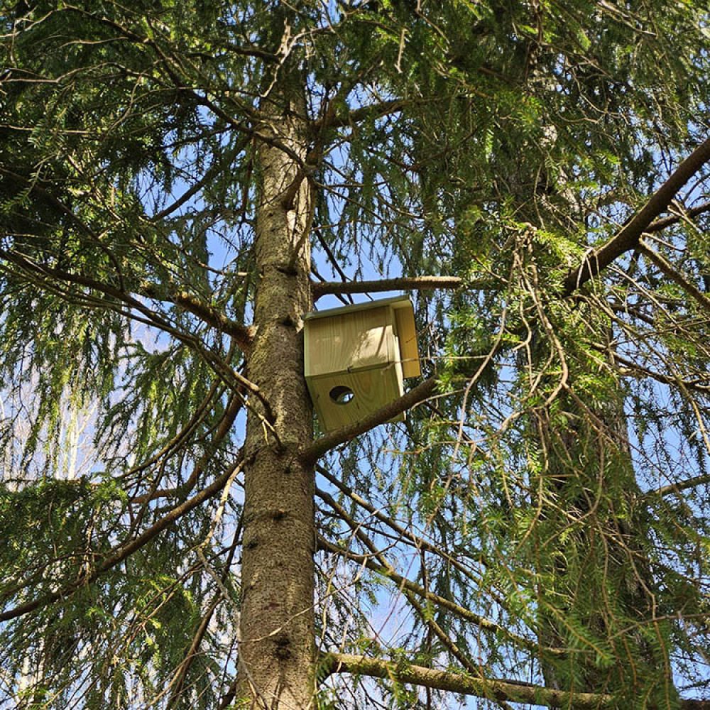 Egernhus i gruppen Hjem / Have / Hutches og hoteller hos SmartaSaker.se (13820)