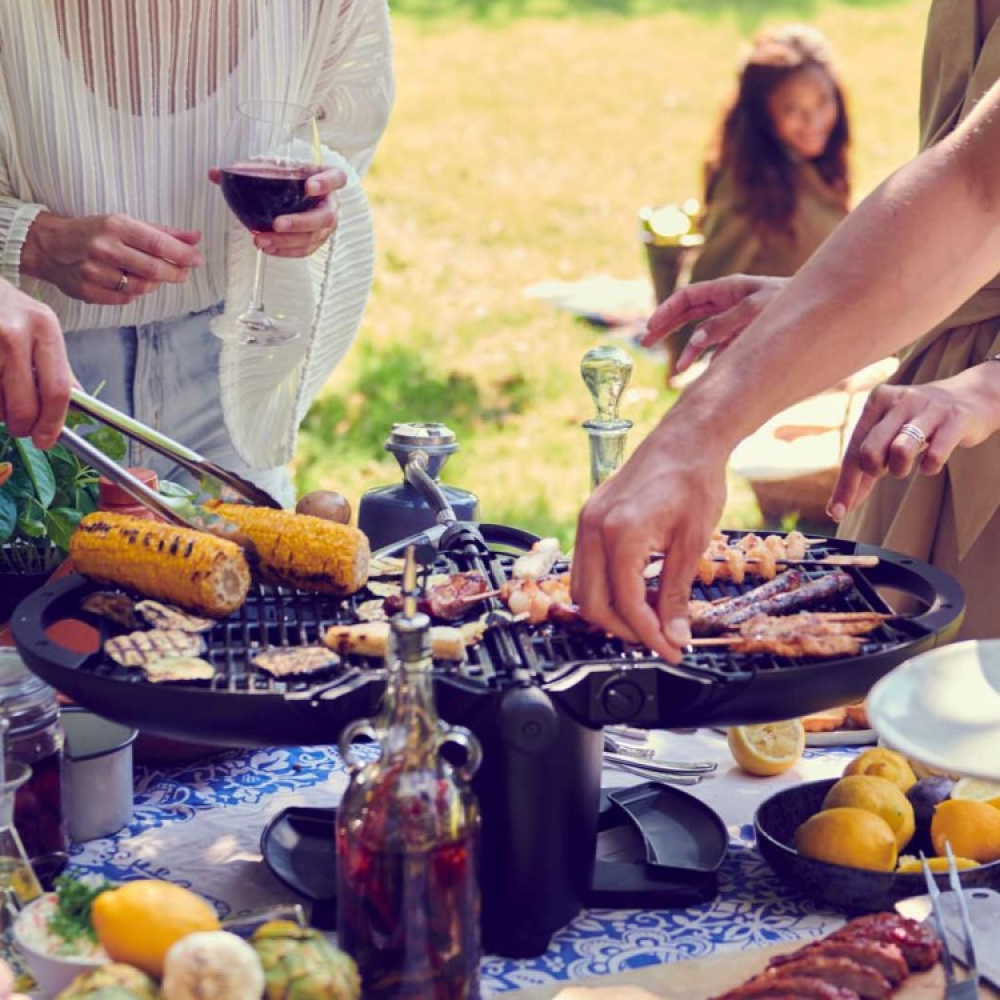 NomadiQ bærbar gasgrill i gruppen Hjem / Grilltilbehør hos SmartaSaker.se (13856)