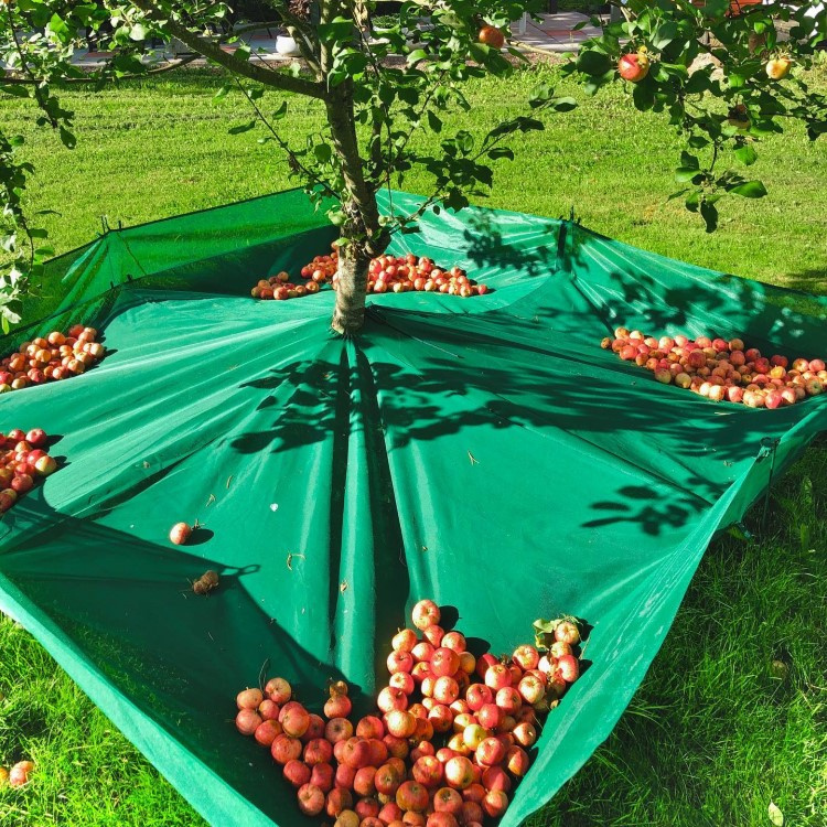Høstnet til frugttræer i gruppen Hjem / Have hos SmartaSaker.se (13970)