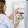 Bionedbrydelige fryseposer BioBag