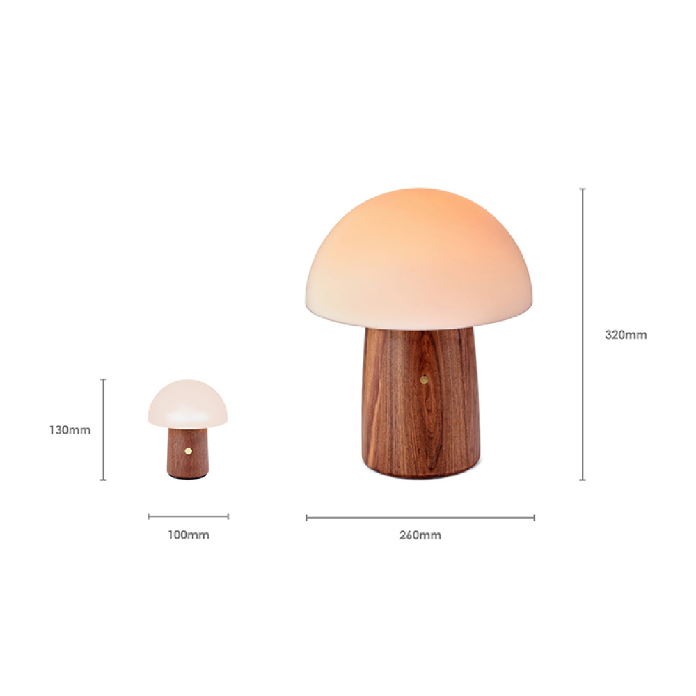 Genopladelig svampelampe i gruppen Belysning / Indendørsbelysning / Dekorationsbelysning indendørs hos SmartaSaker.se (14141)