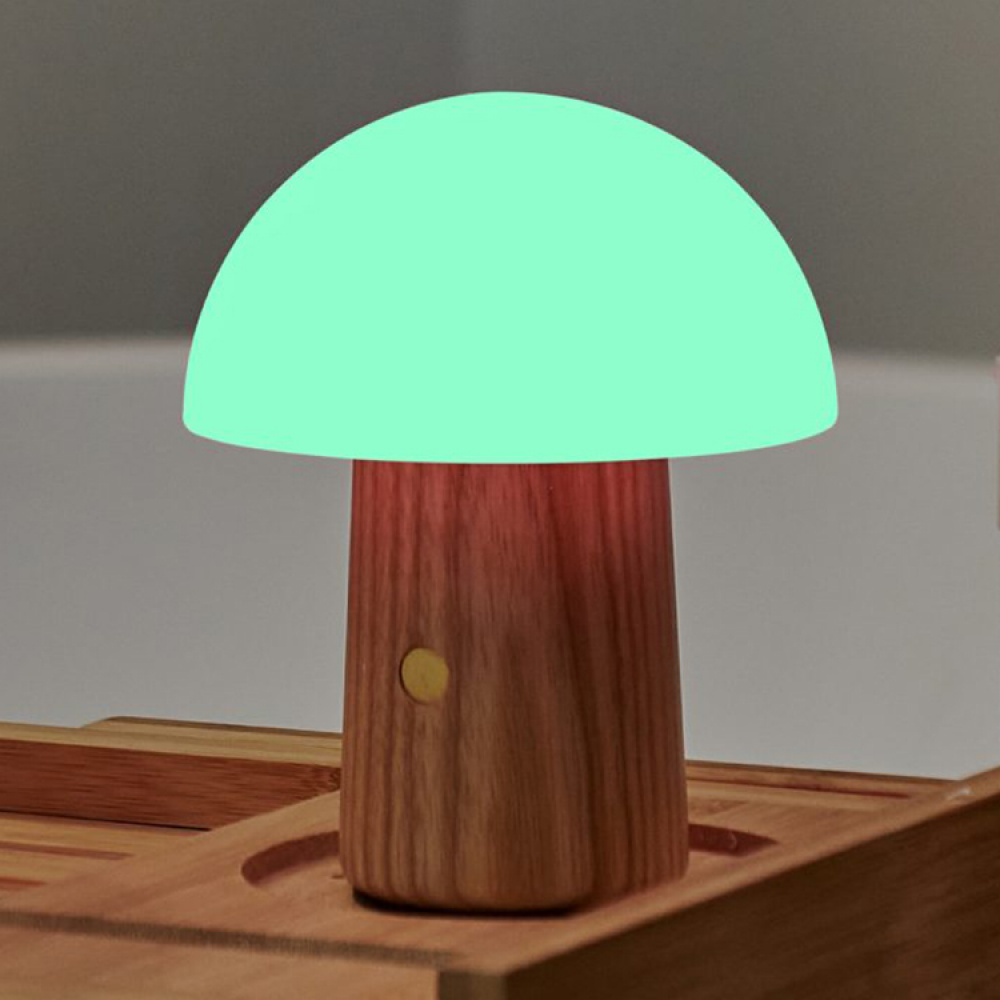 Genopladelig svampelampe i gruppen Belysning / Indendørsbelysning / Dekorationsbelysning indendørs hos SmartaSaker.se (14141)