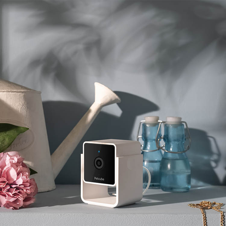 Kæledyrskamera, PetCube i gruppen Fritid / Kæledyr hos SmartaSaker.se (14160)