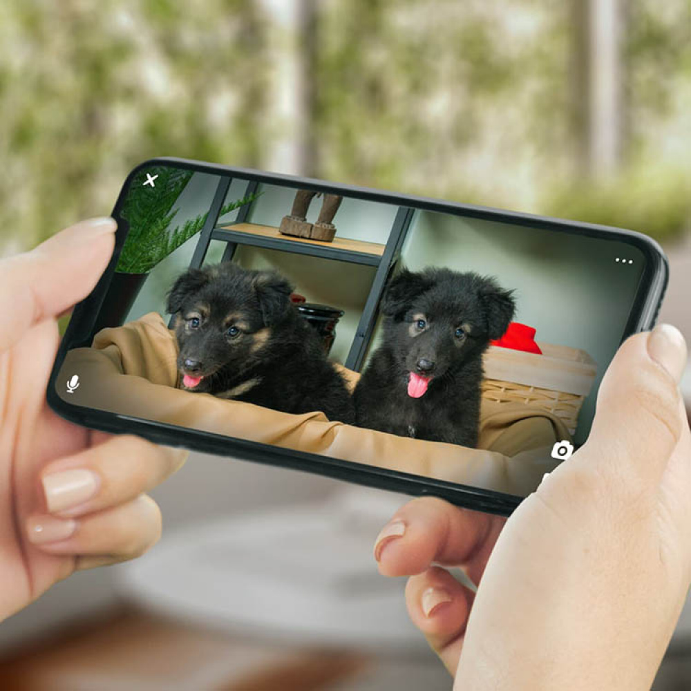 Kæledyrskamera, PetCube i gruppen Fritid / Kæledyr hos SmartaSaker.se (14160)