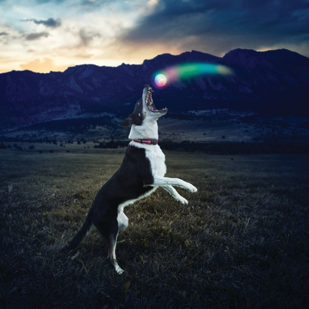 Lysende hundebold i gruppen Fritid / Kæledyr / Hundeudstyr hos SmartaSaker.se (14170)