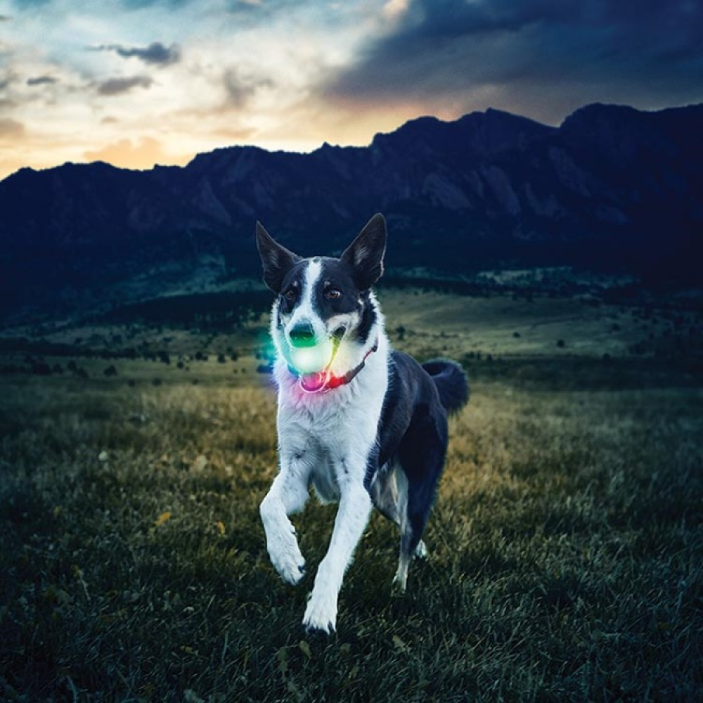 Lysende hundebold i gruppen Fritid / Kæledyr / Hundeudstyr hos SmartaSaker.se (14170)