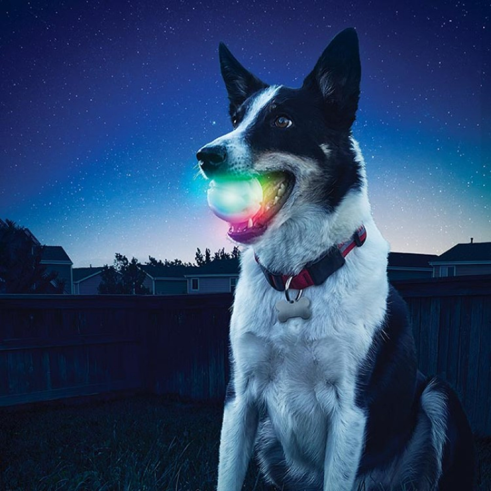 Lysende hundebold i gruppen Fritid / Kæledyr / Hundeudstyr hos SmartaSaker.se (14170)