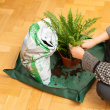 Plantedug, indendørs Plantedug, indendørs