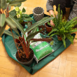 Plantedug, indendørs Plantedug, indendørs