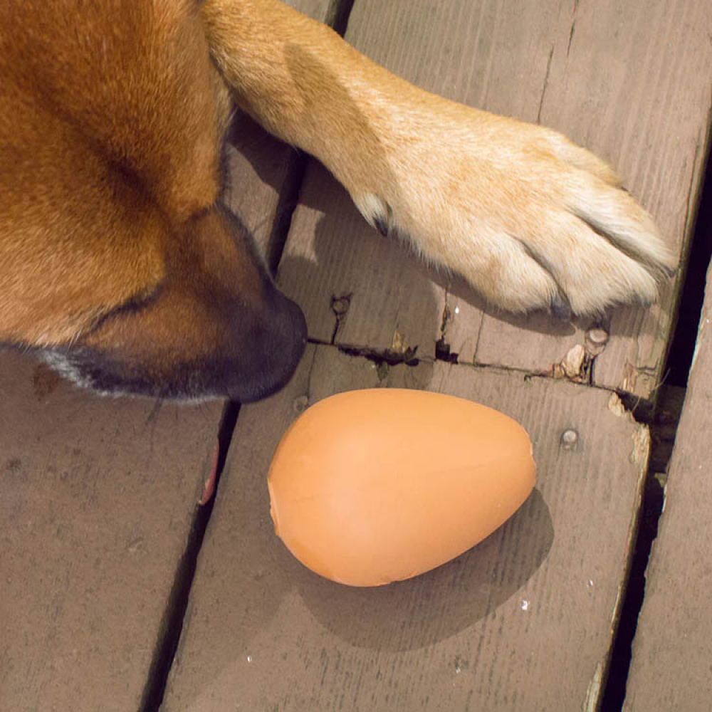 Hundelegetøj, hoppende æg i gruppen Fritid / Kæledyr / Hundeudstyr hos SmartaSaker.se (14199)