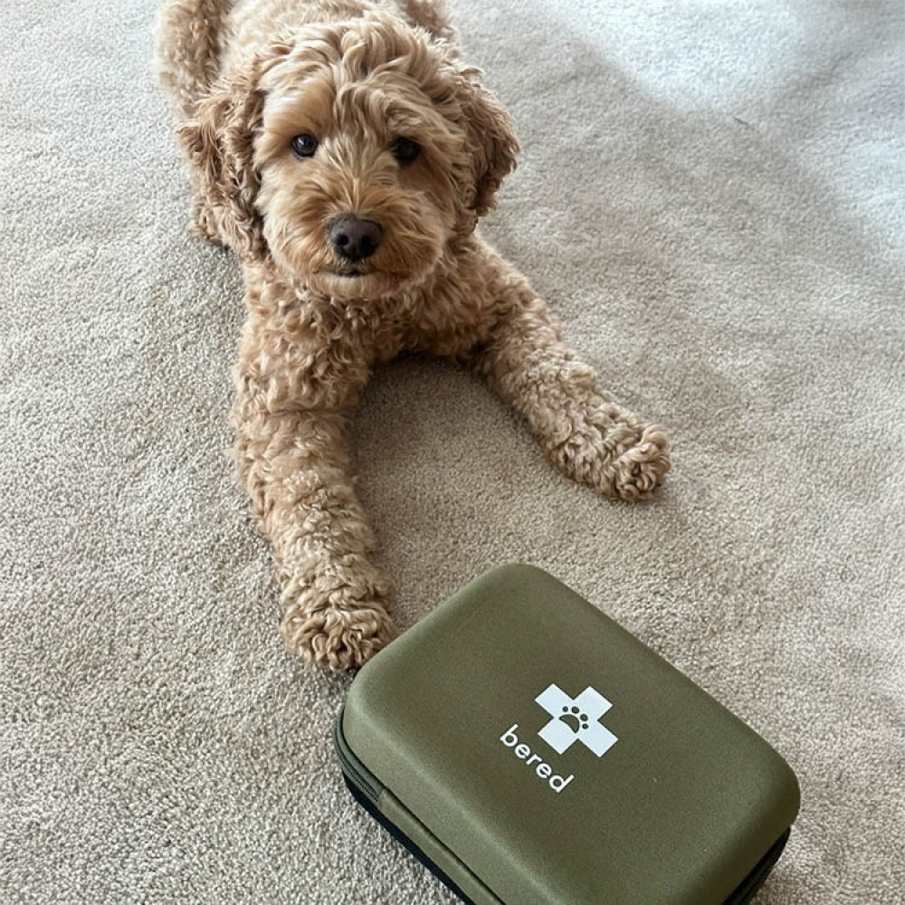 Førstehjælpskasse til hunde og katte, Bered i gruppen Fritid / Kæledyr hos SmartaSaker.se (14359)
