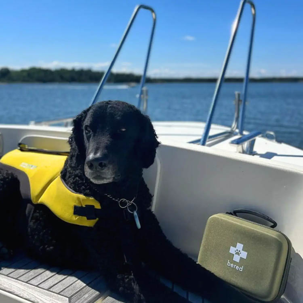 Førstehjælpskasse til hunde og katte, Bered i gruppen Fritid / Kæledyr hos SmartaSaker.se (14359)