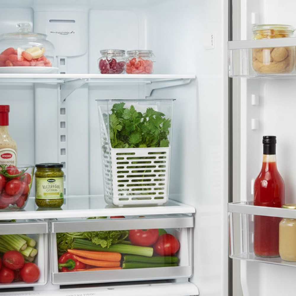 Urtebeholder til køleskabet i gruppen Hjem / Køkkenredskaber hos SmartaSaker.se (14619)