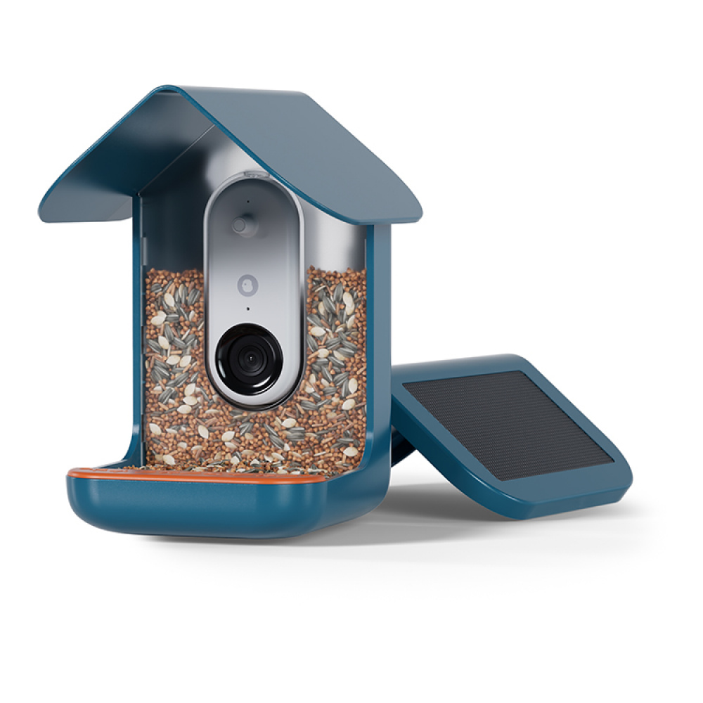 Fuglefoderautomat med kamera, Birdbuddy i gruppen Have / Hutches og hoteller hos SmartaSaker.se (14643)