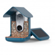 Fuglefoderautomat med kamera, Birdbuddy