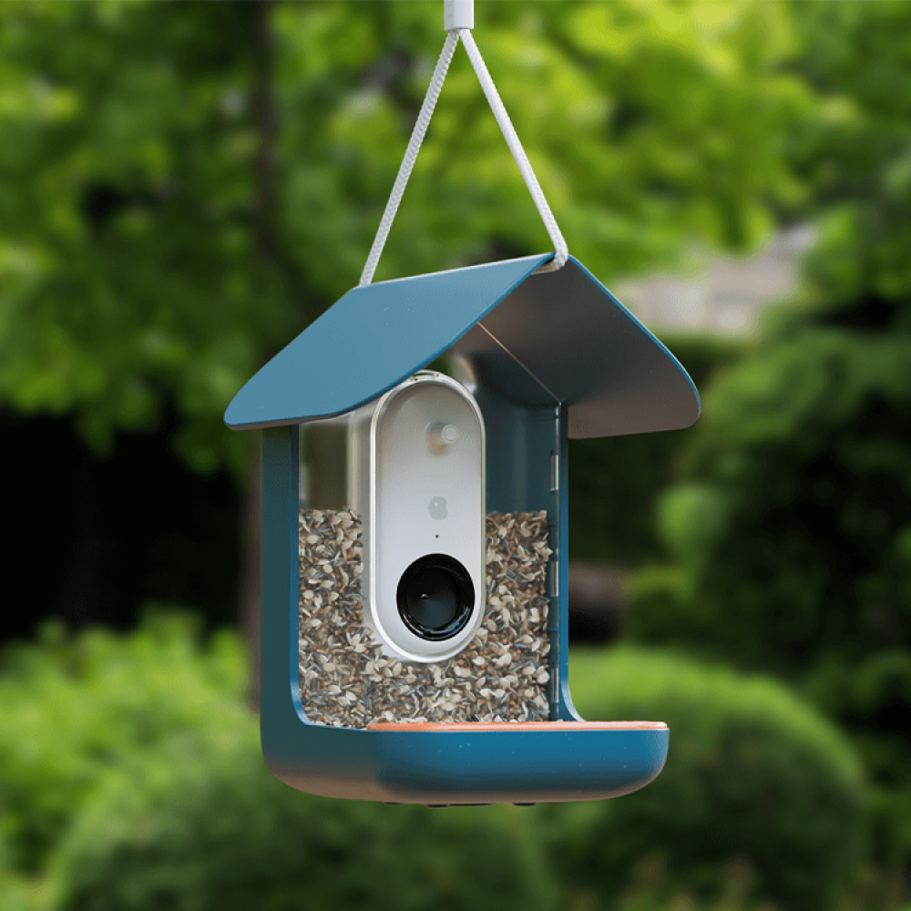Fuglefoderautomat med kamera, Birdbuddy i gruppen Have / Hutches og hoteller hos SmartaSaker.se (14643)