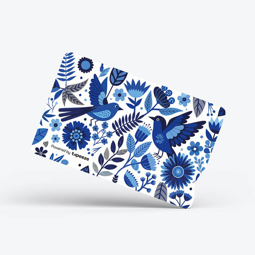 Debetkort Tapeeze i gruppen Hjem / Elektronik / Forbrugerelektronik hos SmartaSaker.se (14644)