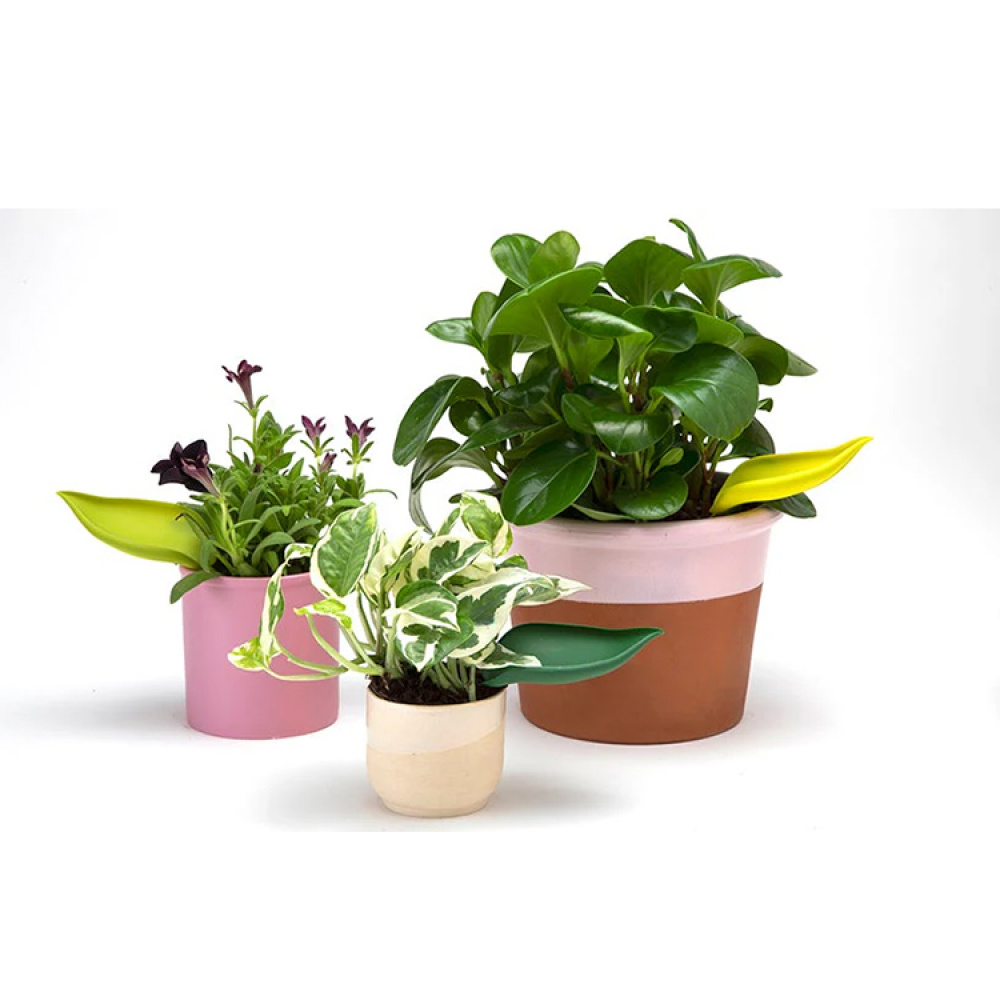 Vandingstragt til potte, 3-pak i gruppen Hjem / Have / Vanding hos SmartaSaker.se (14677)