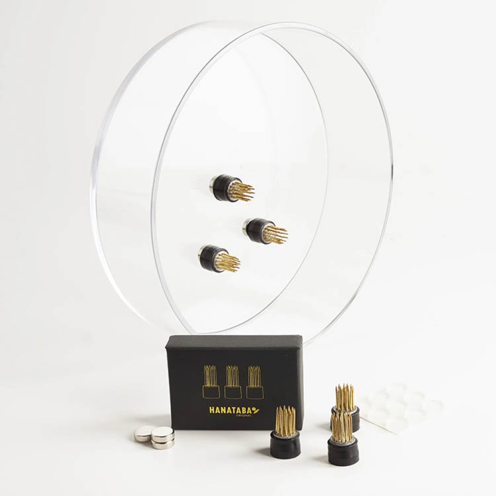 Magnetiske mini-blomsterfakirer 3-pak i gruppen Hjem / Indretning hos SmartaSaker.se (14698)