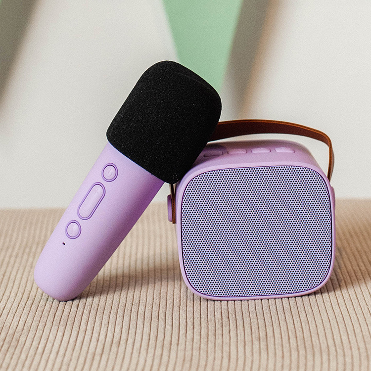 Bærbart karaokesæt i gruppen Hjem / Elektronik / Højttalere & høretelefoner hos SmartaSaker.se (14771)