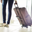 Sammenklappelig bagagevogn, Go Travel