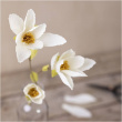 Pysselblomster af crepepapir