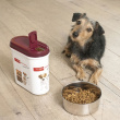 Opbevaringsbøtte til hunde- og kattefoder 2,2L