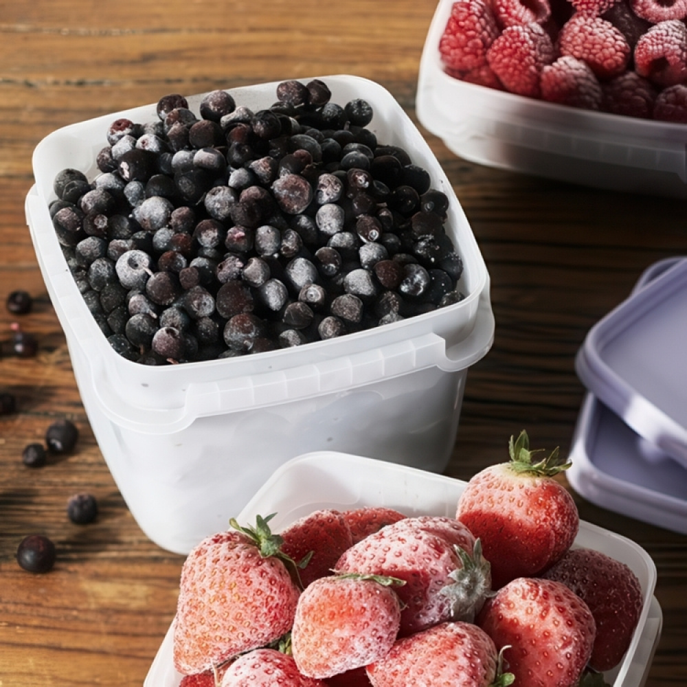 Fryseboks 0,5L 5-pak, SmartStore i gruppen Opbevaring / Opbevaringskasser / SmartStore opbevaringskasser hos SmartaSaker.se (40628)
