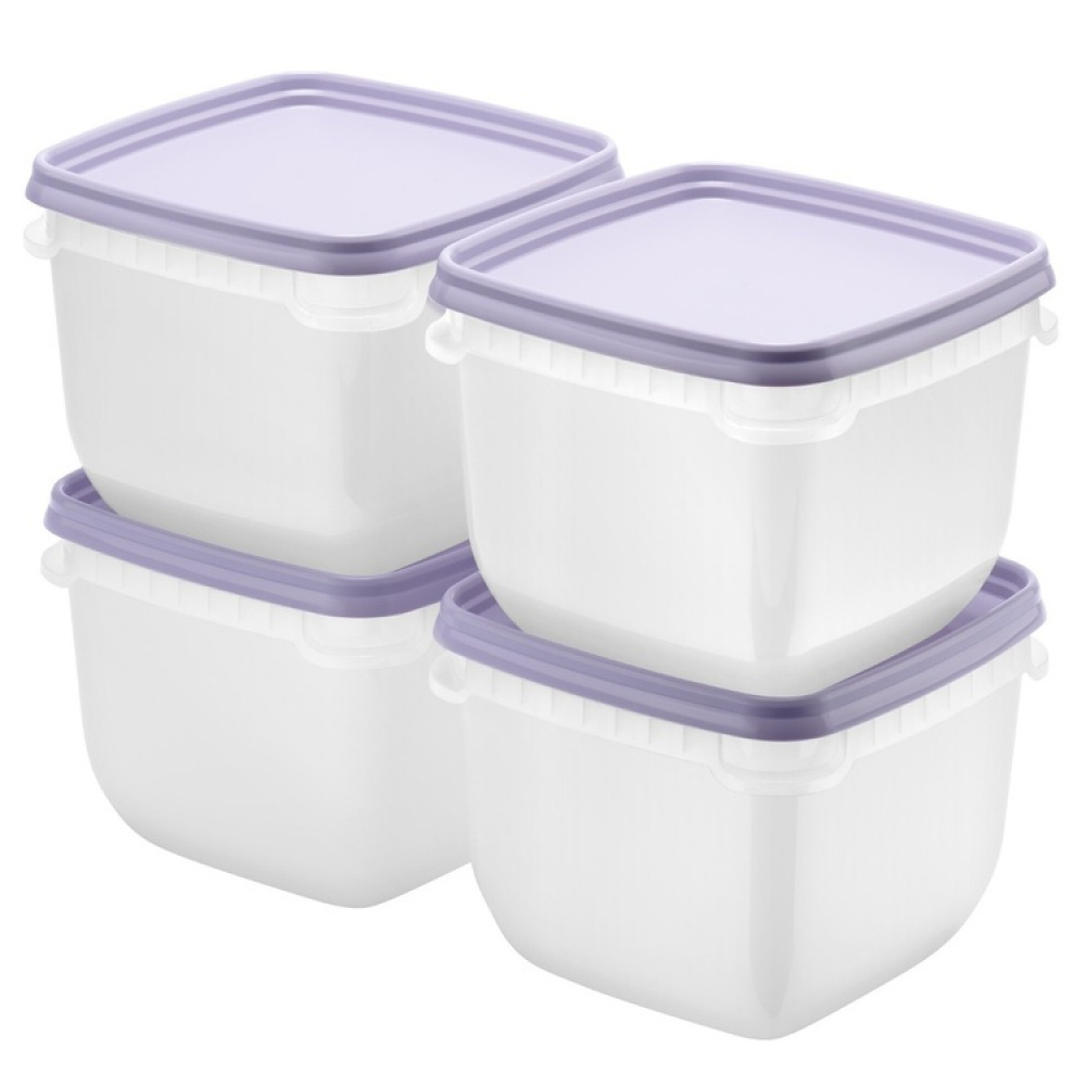 Fryseboks 0,75L 4-pak, SmartStore i gruppen Opbevaring / Køkkenopbevaring / Madkasser / SmartStore madkasser hos SmartaSaker.se (40629)