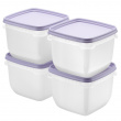 Fryseboks 0,75L 4-pak, SmartStore