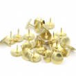 Tegnestifter, 100 stk., THUMB TACKS, Ø 9,5 mm, Guld
