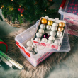 Opbevaringskasse til julepynt 22 L, X-Mas