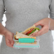Sandwichboks 0,45L, Sistema