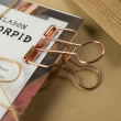 Papirclips WIRE CLIPS SMALL 19 mm, 6 stk.