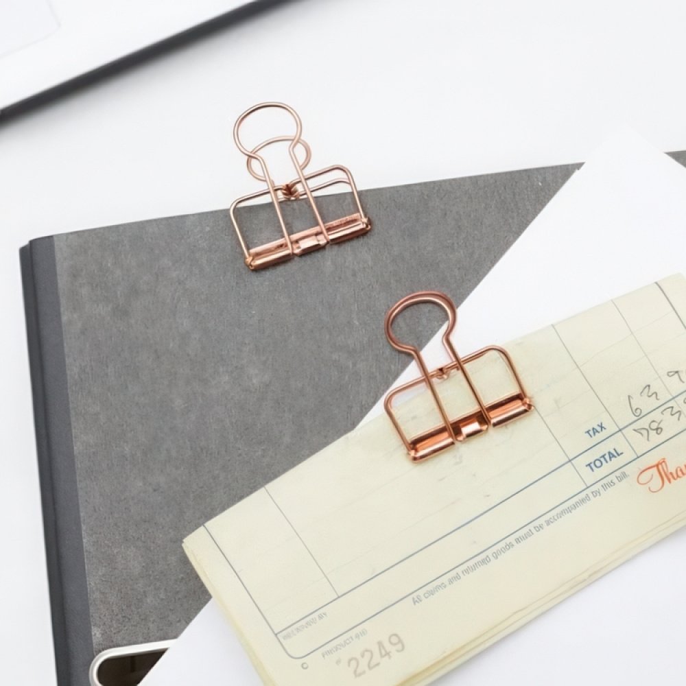 Papirclips WIRE CLIPS SMALL 19 mm, 6 stk. i gruppen Opbevaring / Kontorartikler hos SmartaSaker.se (42342)