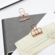 Papirclips WIRE CLIPS SMALL 19 mm, 6 stk.