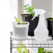 Sprayflaske 0,5 L, SmartStore